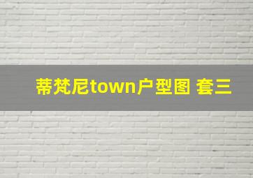 蒂梵尼town户型图 套三